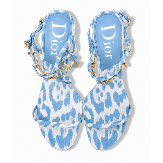 Blue Dior Heels Kit