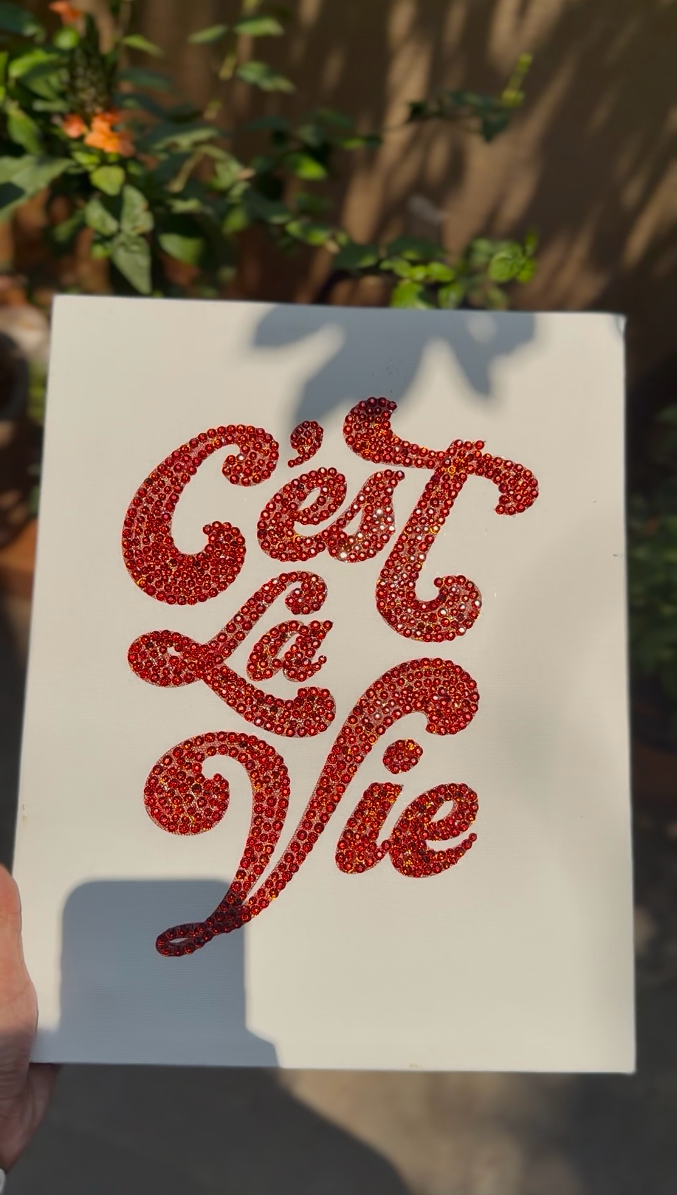 C'est La Vie Kit
